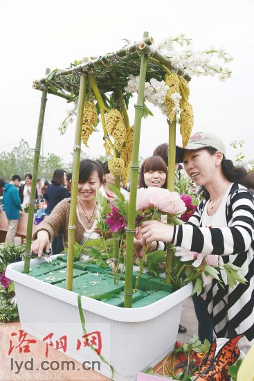 2014洛陽市插花藝術(shù)大賽介紹