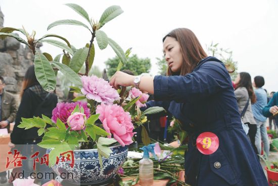 2014洛陽市插花藝術(shù)大賽介紹