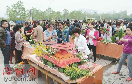 2014洛陽市插花藝術(shù)大賽介紹